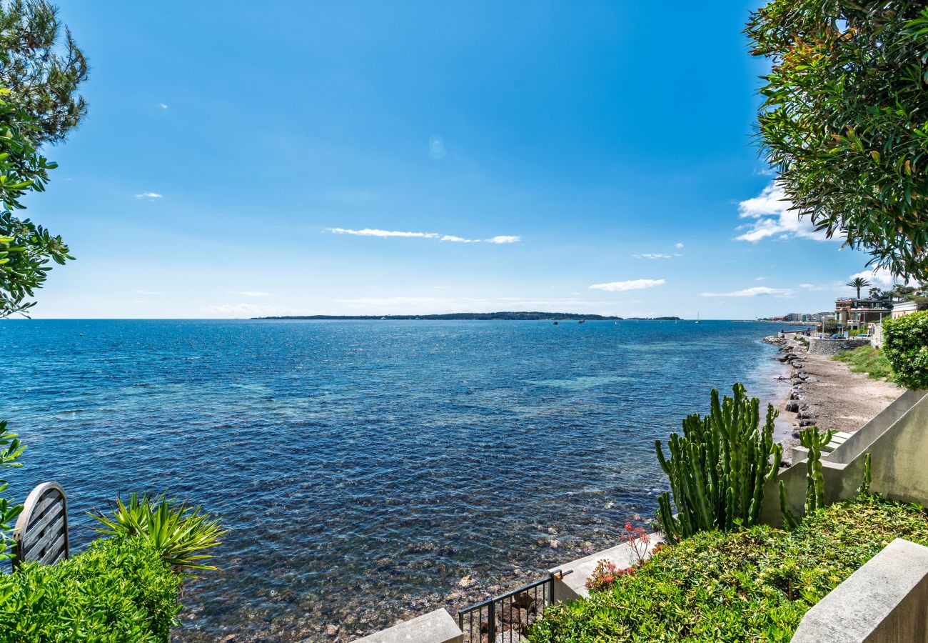 Apartment in Cannes - ADRIANA By Terry's Homes