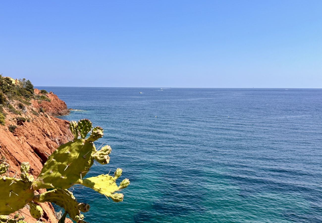 Apartment in Saint Raphael - CAP NÉRÉE By Terry's Homes