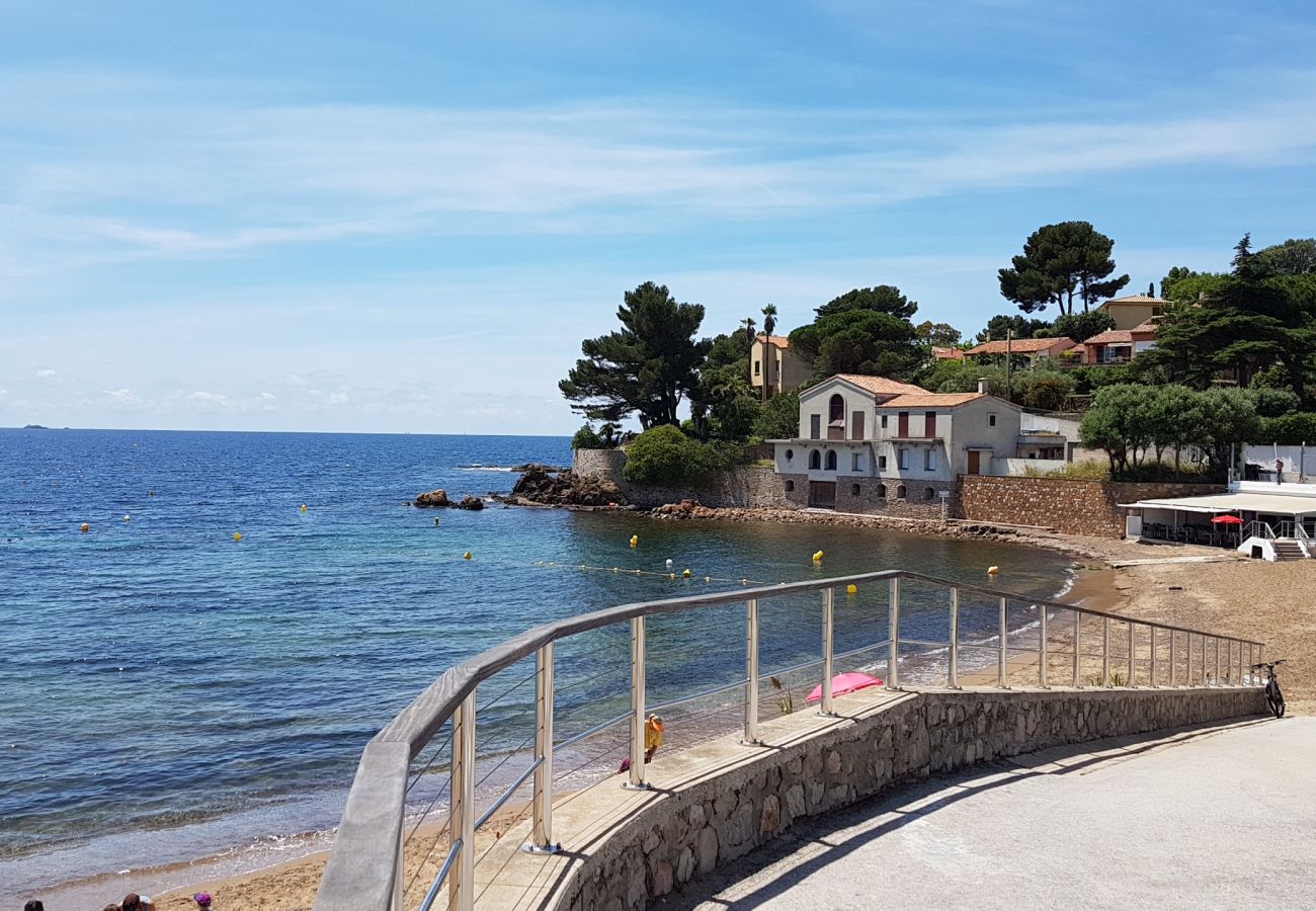 Villa in Carqueiranne - VILLA CAMILLE By Terry's Homes