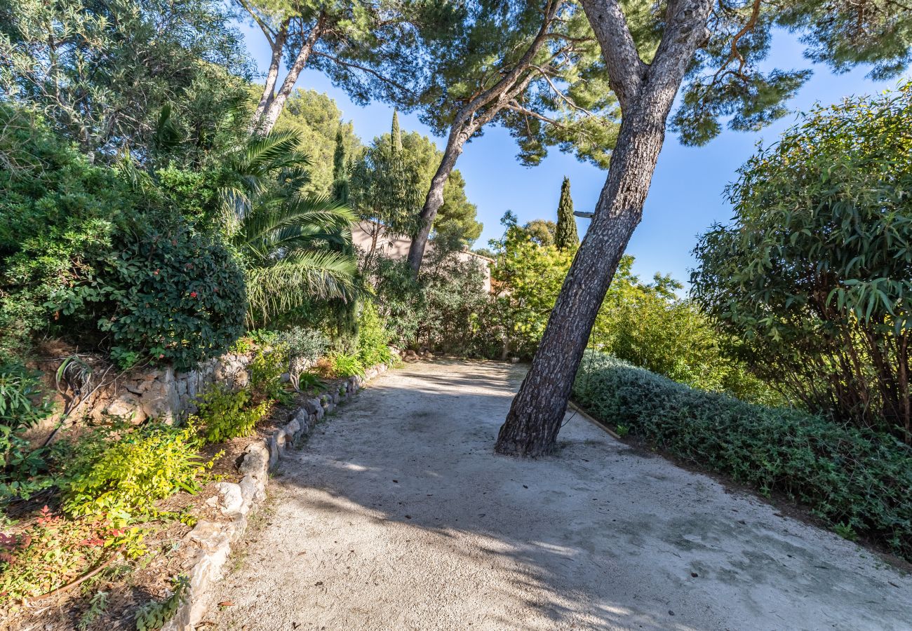 Villa in Carqueiranne - S-LUX BALCON SUR LA MER  Carqueiranne