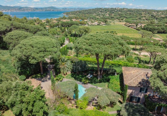 Villa in Saint-Tropez - VILLA MAROMA By Terry's Homes
