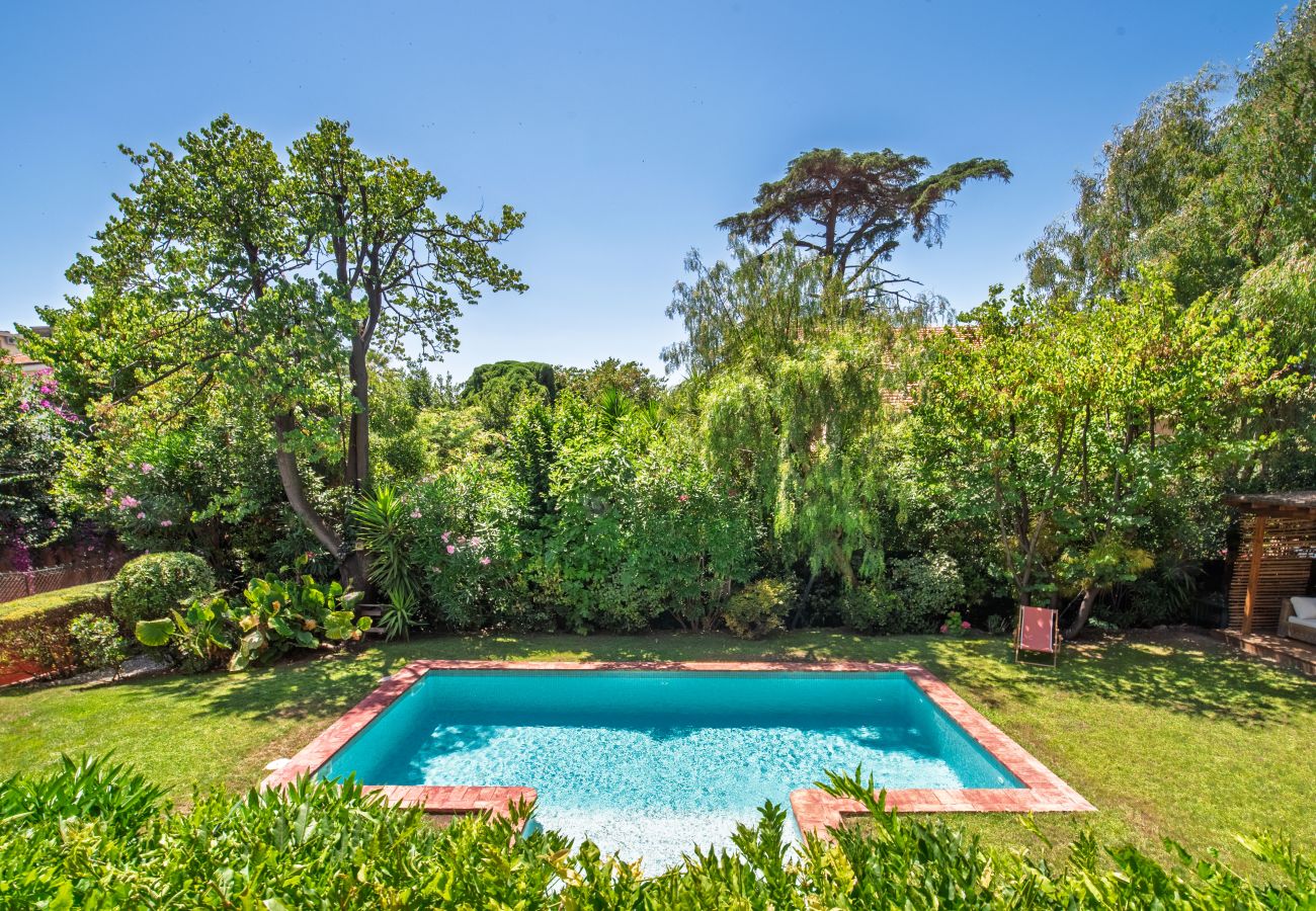 Villa in Cannes - VILLA COLLINETTE By Terry's Homes