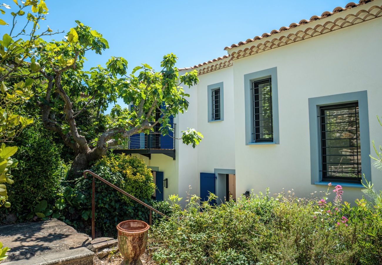 Villa in Carqueiranne - S-LUX Villa Clementine