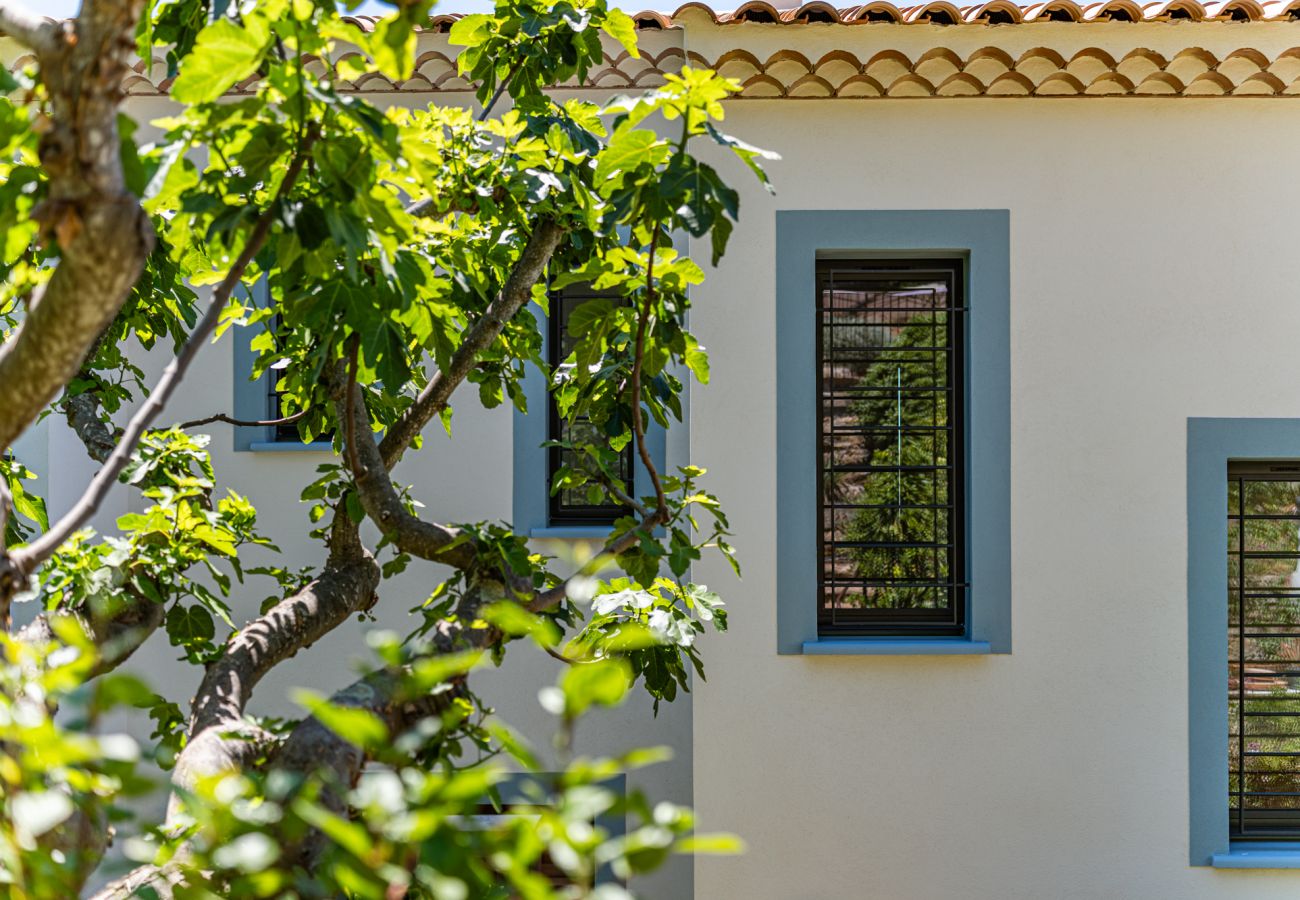 Villa in Carqueiranne - S-LUX Villa Clementine