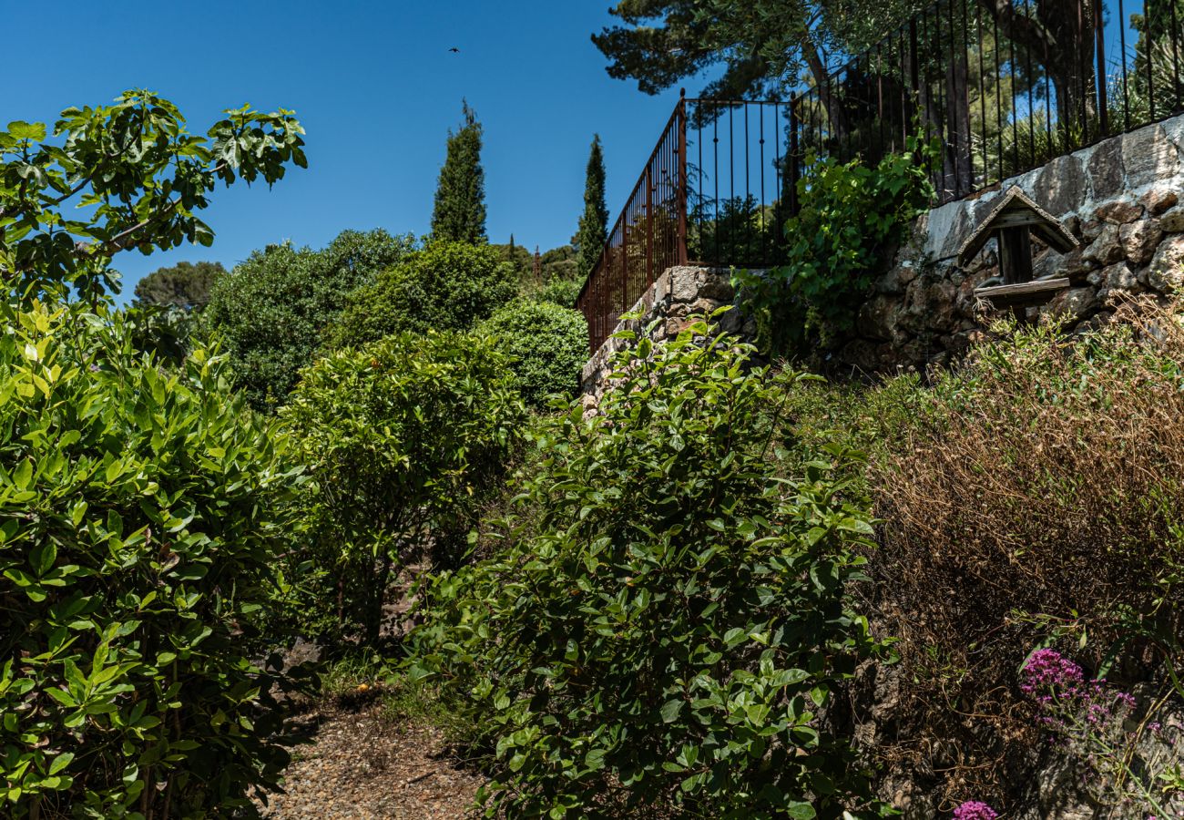 Villa in Carqueiranne - S-LUX Villa Clementine