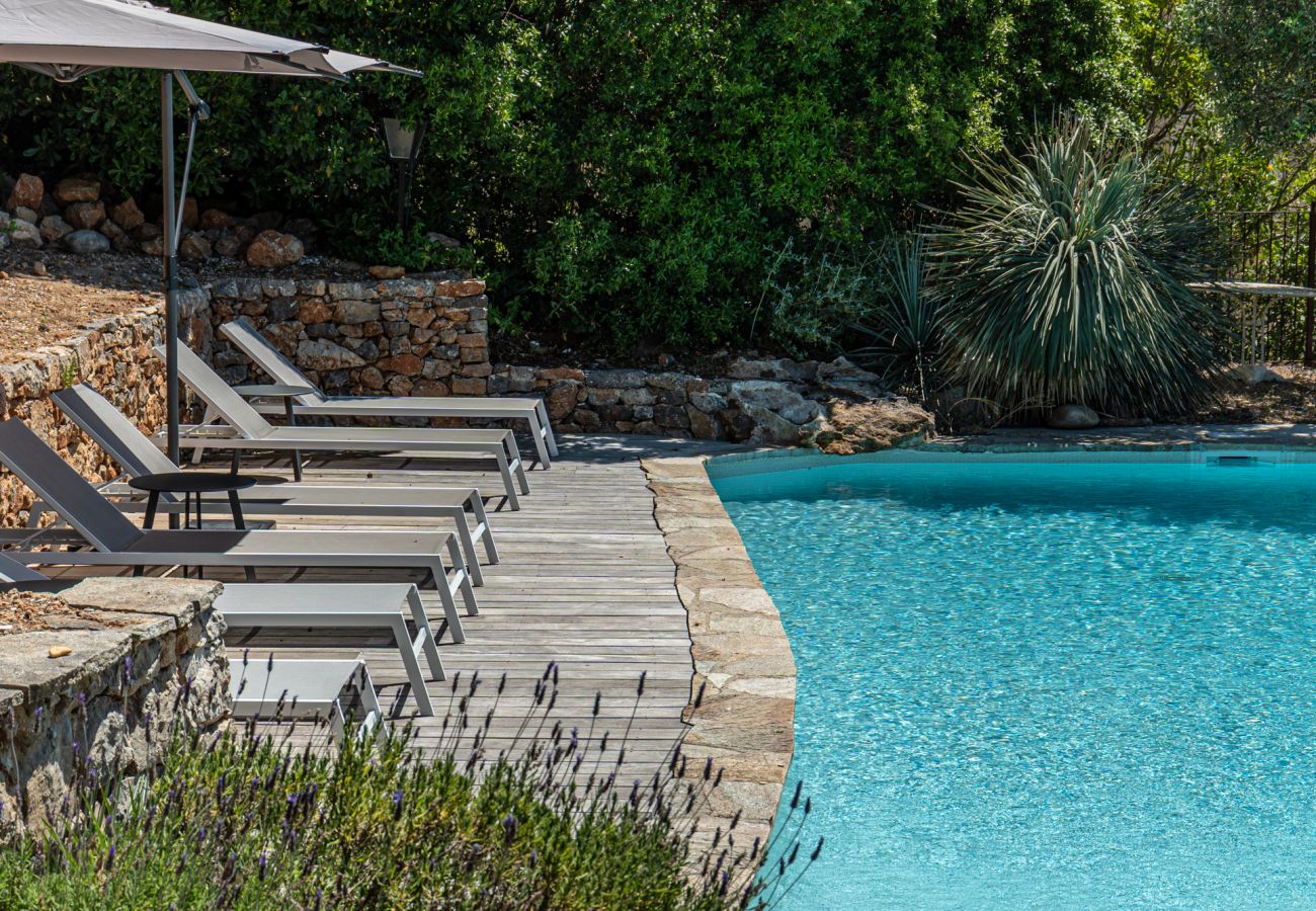 Villa in Carqueiranne - S-LUX Villa Clementine