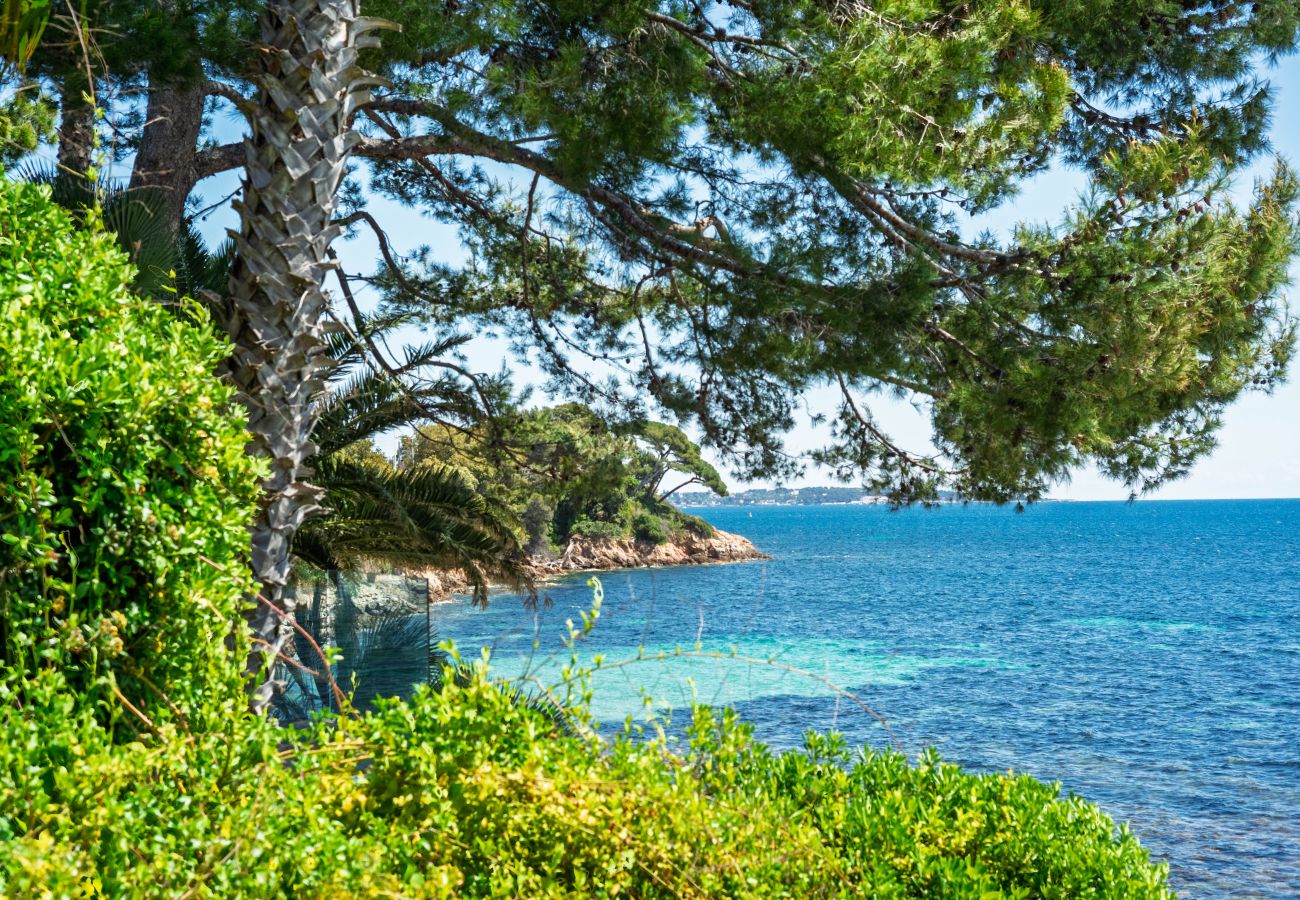 Appartement Cannes vue mer panoramique