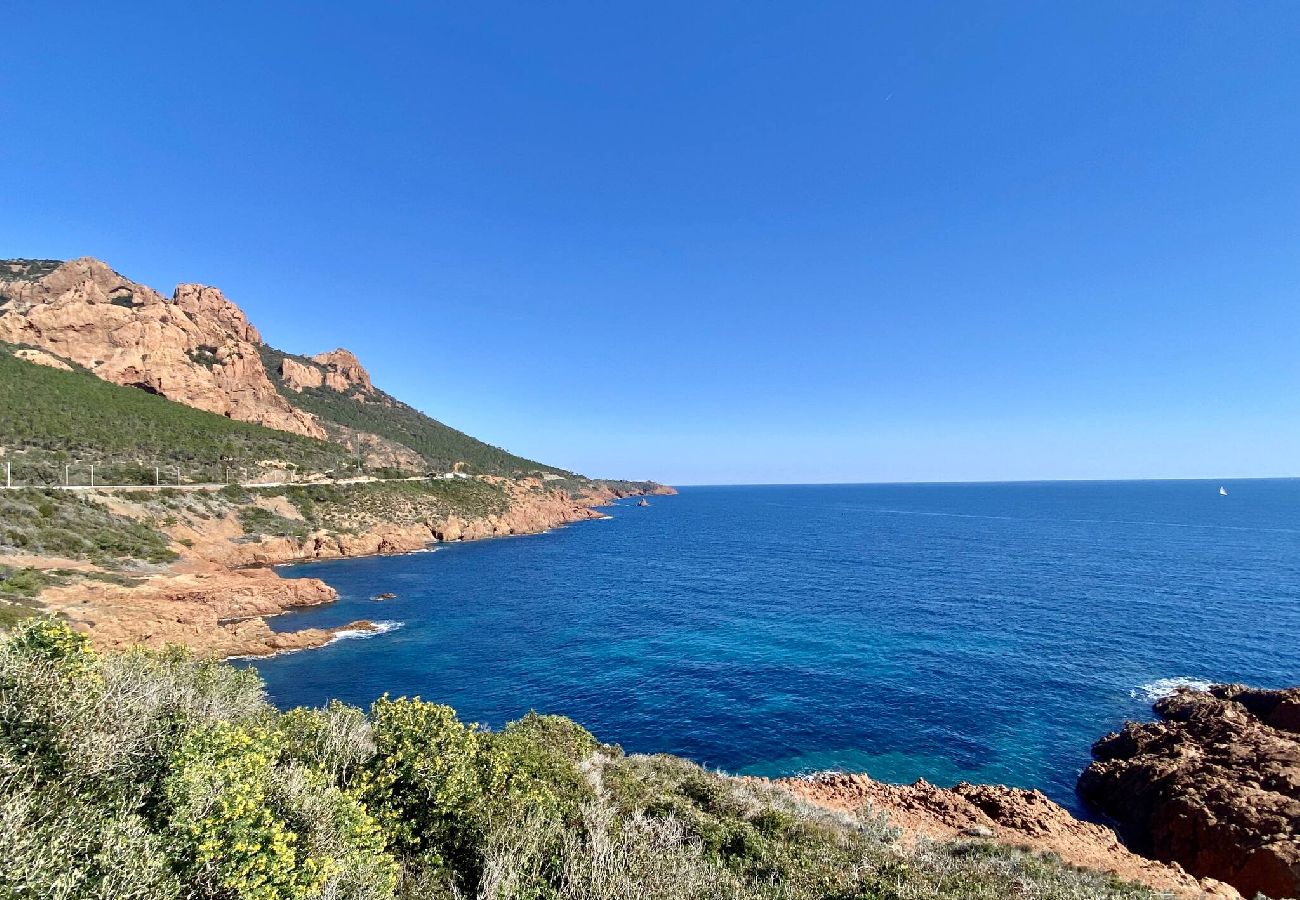 Appartement vue mer, pieds dans l'eau, piscine