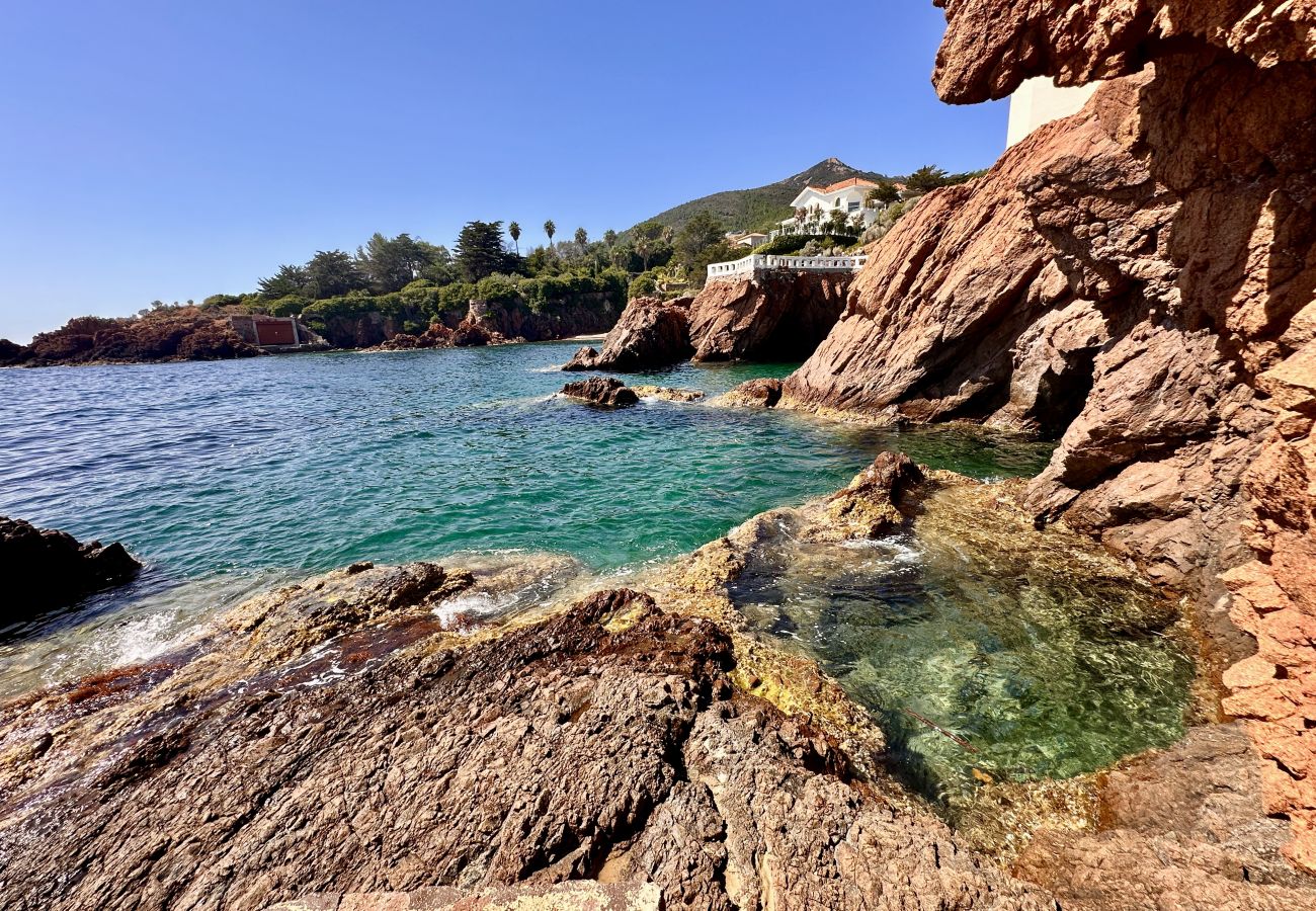 Appartement vue mer, pieds dans l'eau, piscine