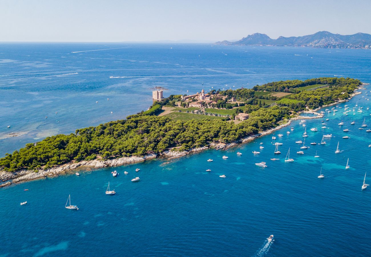 Appartement à Cannes - BARBARA By Terry's Homes